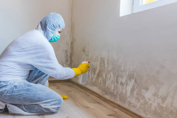 Commercial Mold Remediation assessment for commercial property in East Rockaway